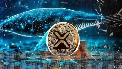 پرونده چند ساله ریپل در آستانه بسته شدن؟ نهنگ‌ها ۱۵۰ میلیون XRP خریدند!