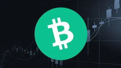 صعود دوباره بیت‌کوین کش/ زمان خرید BCH فرا رسیده؟+ نمودار