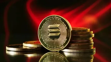 سولانا به حمایت مهم خود واکنش نشان داد!