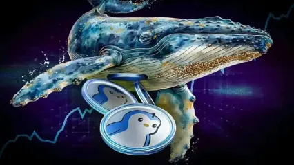 انباشت ۲.۵ میلیون دلاری نهنگ‌های پنگو؛ فرصت سرمایه‌گذاری در کف قیمتی؟