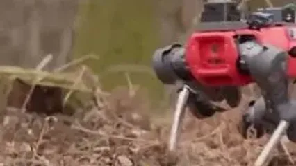 سگ آهنی آکسفورد، محافظ جدید جنگل‌ها