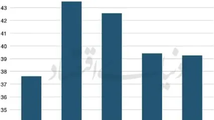 عصر حذف  انسان  از ترجمه