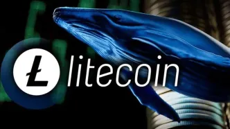 انباشت ۵۱۲ میلیون دلار LTC توسط نهنگ‌ها / تأیید ETF لایت‌کوین نزدیک است؟