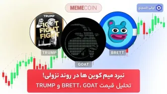 نبرد میم کوین‌ ها در  روند نزولی! تحلیل قیمت BRETT، GOAT و TRUMP