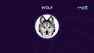 سرمایه‌گذاران WOLF در شوک؛ سقوط قیمت پس از تبلیغات گسترده