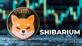 تعداد کیف‌پول‌های شیباریوم از ۲۰۰ میلیون گذشت! زمان جهش قیمت SHIB فرا رسیده؟