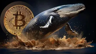 نهنگ‌های جدید کنترل بیت‌کوین را در دست گرفته‌اند! تحلیل قیمت و روند آینده بازار