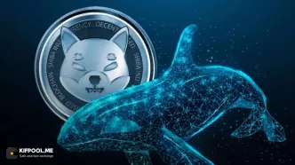 سقوط قیمت شیبا اینو (SHIB)؛ فروش نهنگ‌ها و کاهش نرخ توکن‌سوزی