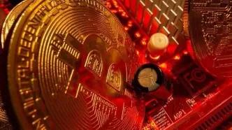آخرین وضعیت بازار رمزارزها در جهان/ ماینرها ورشکسته می‌شوند