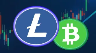 تفاوت بیت کوین کش (BCH) و لایت کوین (LTC): راهنمای جامع مقایسه در ۲۰۲۵