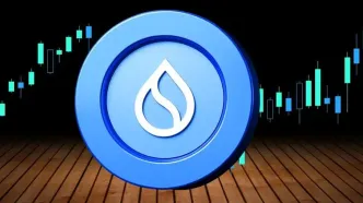 سویی با قدرت برگشت! پیش‌بینی جذب سرمایه ۳۰۰ میلیونی با ورود به بازار ETFها