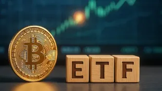 پایان دوران کندل‌های انفجاری بیت‌کوین؟ ETFها ساختار بازار را دگرگون کرده‌اند!