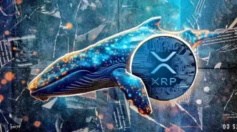 خرید ۱۳۰ میلیون XRP توسط نهنگ‌ها؛ موج سوم صعودی در راه است؟