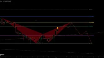 دامیننس تتر و USDC