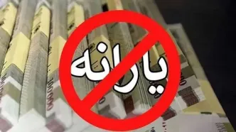 متهم ردیف اول حذف یارانه مردم مشخص شد