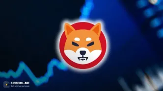 شیبا اینو در ۱۰ تا ۲۰ سال آینده چقدر می‌تواند رشد کند؟