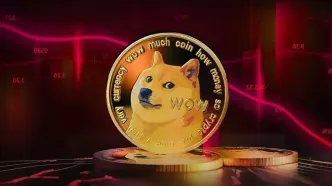 افزایش حجم معاملات دوج کوین با وجود افت قیمت