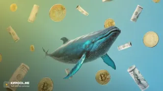 نهنگ‌ها در سپتامبر این رمزارزها را می‌خرند؛ جا نمونید!