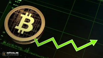 صعود غیرمنتظره بیت‌کوین؛ عبور از ۱۱۴ هزار دلار