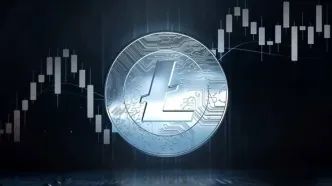 حجم معاملات لایت‌کوین به ۷۰۰ میلیون دلار رسید! صعود قیمت LTC تازه شروع شده؟