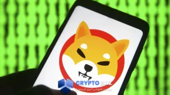 جهش ۷۰۰۰ درصدی توکن‌سوزی شیبا اینو همزمان با افزایش آدرس‌ها