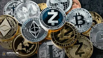 کدام ارز دیجیتال را امروز برای سرمایه‌گذاری بلندمدت بخریم؟