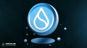 تحلیل جدید از سویی (SUI)؛ بازگشت به اوج یا اصلاح عمیق‌تر؟