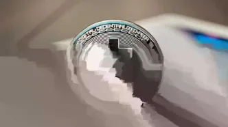 انفجار قیمت زی‌کش؛ رشد ۱۵۰ درصدی تنها در یک هفته