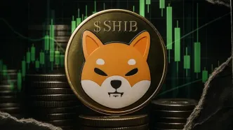 رشد شبکه و کاهش ذخایر؛ سیگنال صعودی برای SHIB صادر شد؟