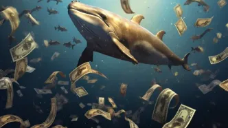 نهنگ‌های کریپتو پس از کاهش نرخ بهره کدام توکن‌ها را انباشت می‌کنند؟