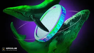 نهنگ‌ها دوباره فعال شدند؛ خرید و فروش سنگین در بازار!