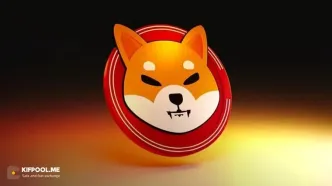 جهش دوباره شیبا اینو؛ آیا زمان صعود بزرگ فرا رسیده؟