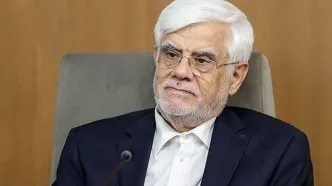 دستور عارف برای بهره‌گیری از سکوی هوش مصنوعی