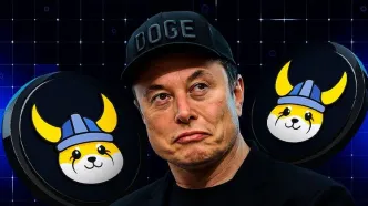 فلوکی و سناریو رشد ۱۰ برابری قیمت بعد از شوخی ایلان ماسک!