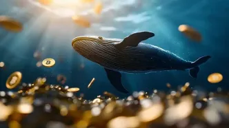 انباشت سنگین نهنگ‌ها؛ سیگنال خرید ۳ توکن در بازار نزولی؟