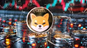 خروج ۲۰۷ میلیارد SHIB تنها در ۲۴ ساعت؛ آغاز موج انباشت و جهش قیمت؟