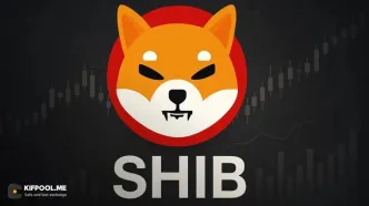 تحلیل قیمت شیبا اینو ۲۰۲۵ تا ۲۰۳۰