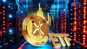 آغاز شمارش معکوس برای راه‌اندازی ETF ریپل؛ جهش بزرگ در راه است؟