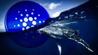 خروج نهنگ‌ها از کاردانو؛ هشدار سقوط تا ۰.۴۵ دلار؟