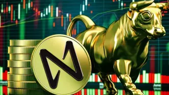 رشد نیر پروتکل (NEAR) در بازار نزولی؛ علت چیست؟