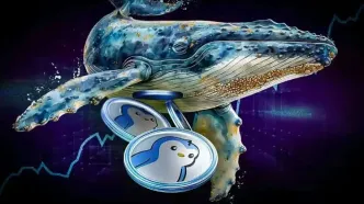 انباشت ۲.۵ میلیون دلاری نهنگ‌های پنگو؛ فرصت سرمایه‌گذاری در کف قیمتی؟