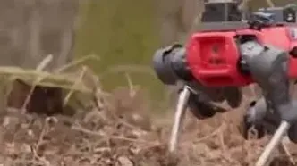 سگ آهنی آکسفورد، محافظ جدید جنگل‌ها