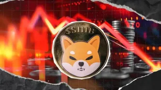 از دست رفتن ۶۰۰ میلیون دلار در چند ساعت؛ شیبا به محدوده خرید رسیده؟