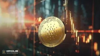 مهم‌ترین دلایل احتمال رشد کاردانو تا سقف تاریخی در هفته‌های آینده
