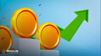 نهنگ‌ها پس از کاهش نرخ بهره FOMC در ماه دسامبر چه می‌خرند؟