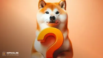 هشدار جدی برای شیبا اینو در ۲۰۲۶؟!