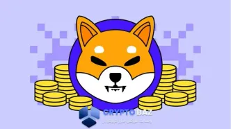 شیبا اینو در مسیر سقوط قیمت؛ نرخ سوزاندن ۱۳۳٪ افزایش یافت