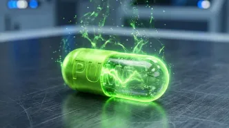 پامپ فان (PUMP) و سناریو رشد تا سقف‌های قبلی!