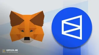 ورود متامسک به بازارهای پیش‌بینی با ادغام پلی‌مارکت