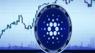 ضرر ۶۹ هزار بیت‌کوینی از دسامبر؛ وضعیت قرمز برای دارندگان بزرگ